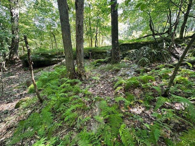 106 Lakeview Dr, Terra Alta, WV 26764
