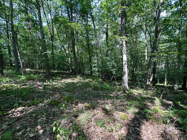 106 Lakeview Dr, Terra Alta, WV 26764