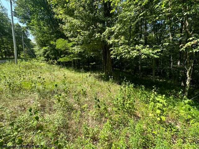 106 Lakeview Dr, Terra Alta, WV 26764