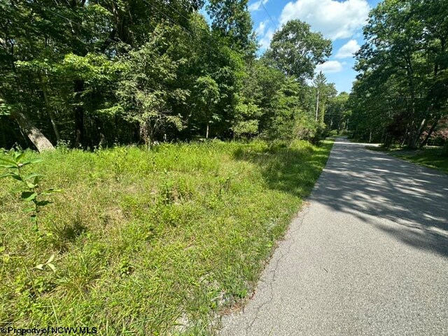 106 Lakeview Dr, Terra Alta, WV 26764