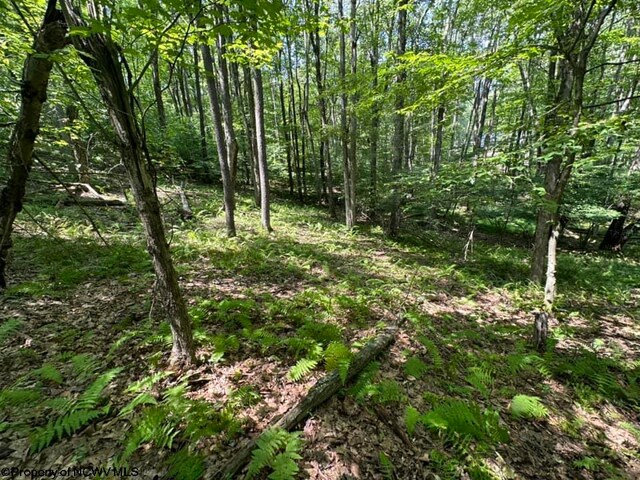 106 Lakeview Dr, Terra Alta, WV 26764