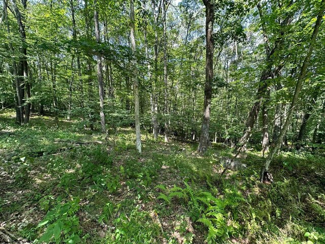106 Lakeview Dr, Terra Alta, WV 26764