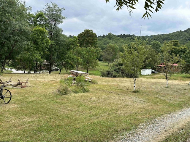 Listing photo 2 for TBD W Point Dr, Belington WV 26250