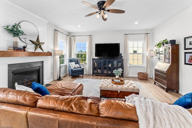 living room with ceiling fan and light hardwood / wood-style floors