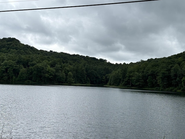 view of water feature with a wooded view