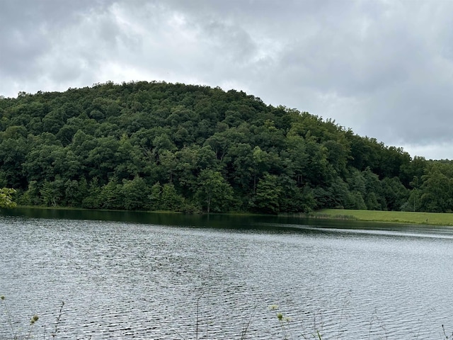 water view with a wooded view