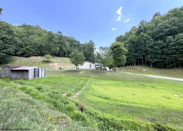 view of yard with a storage shed