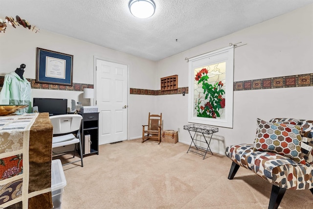 office space with light colored carpet and a textured ceiling