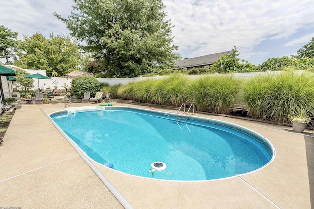 view of swimming pool with a patio area, fence, and a fenced in pool