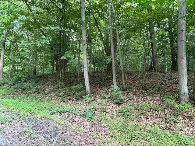 Listing photo 2 for LOT2 E Run Cir, Four States WV 26572