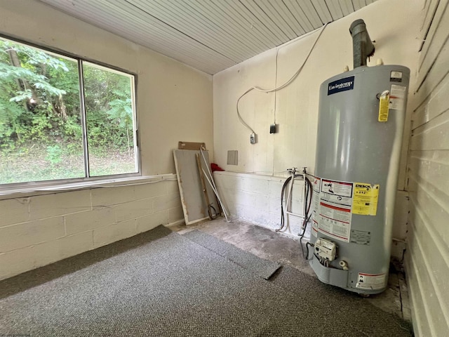 utility room featuring gas water heater