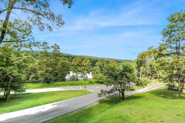 view of home's community with a lawn