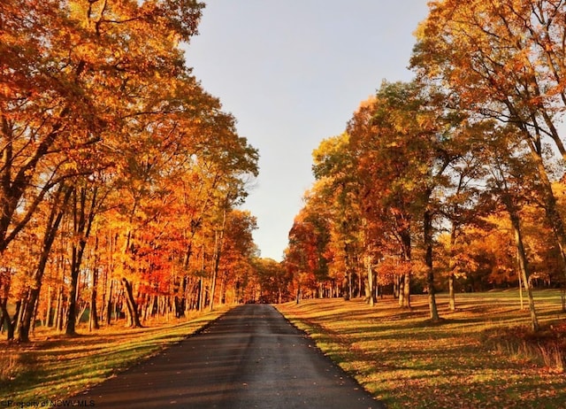 view of property's community