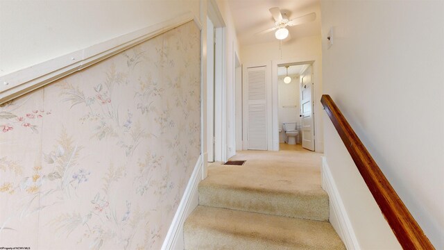 stairs featuring ceiling fan and carpet