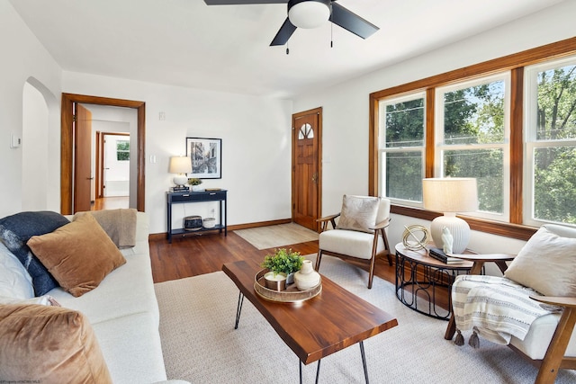 living room with ceiling fan and wood-type flooring