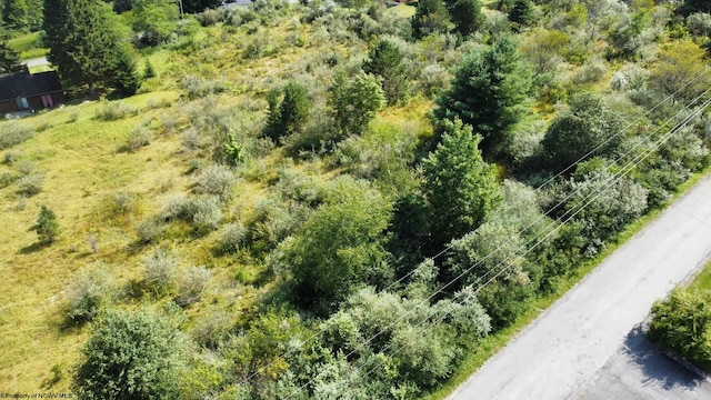 Listing photo 3 for LOT52 Bobolink Dr, Terra Alta WV 26764