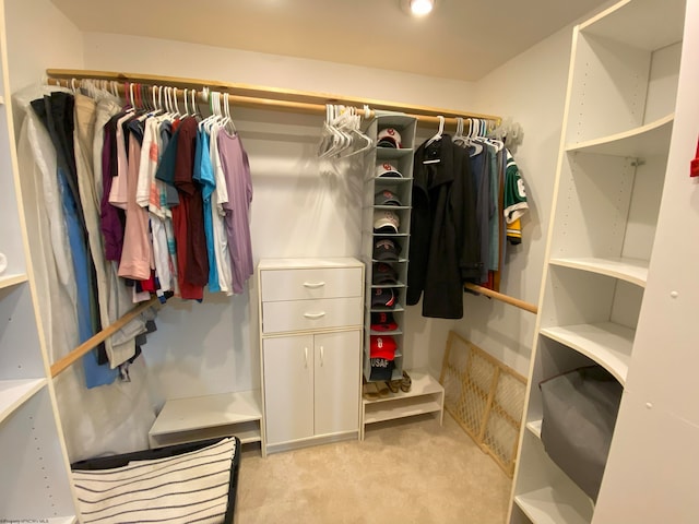 spacious closet with light carpet