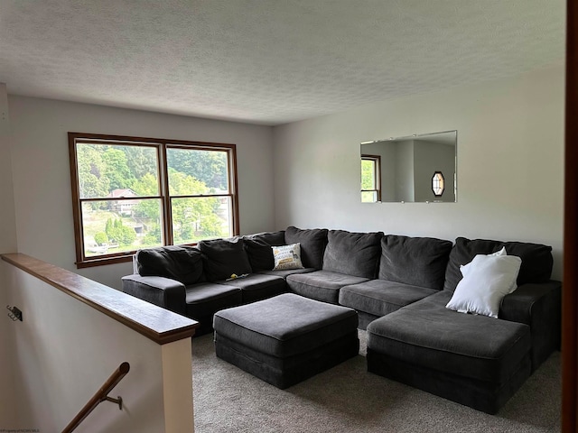 carpeted living room with a wealth of natural light and a textured ceiling