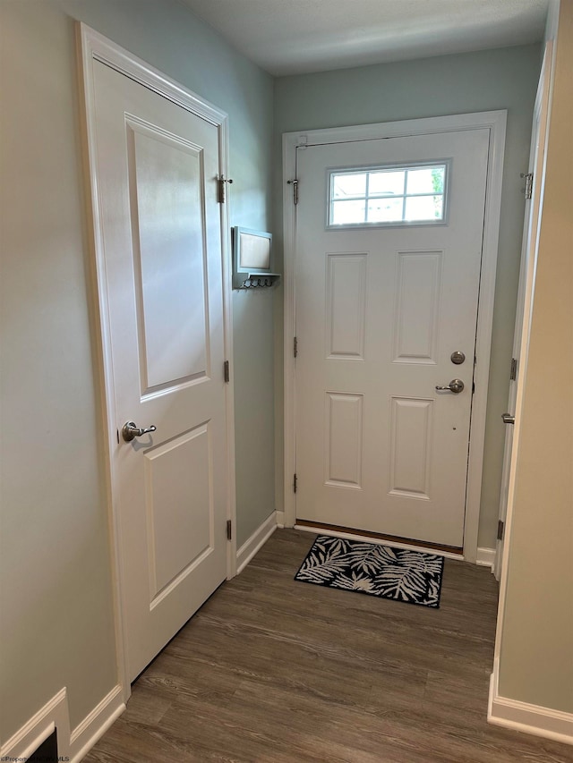 entryway featuring dark wood-type flooring