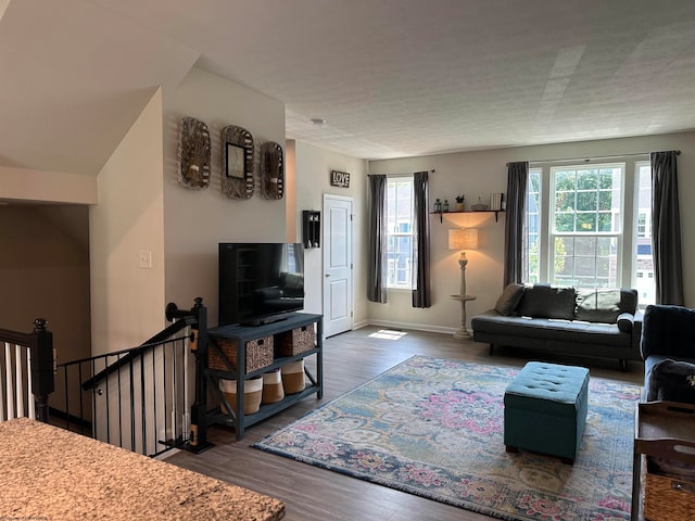 living room featuring hardwood / wood-style floors and a wealth of natural light