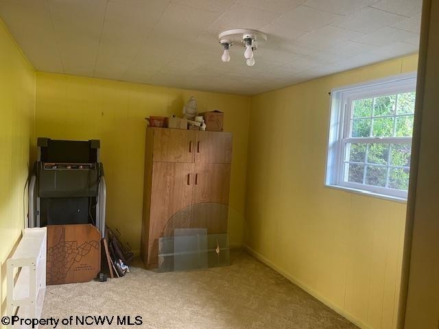 unfurnished room featuring carpet floors