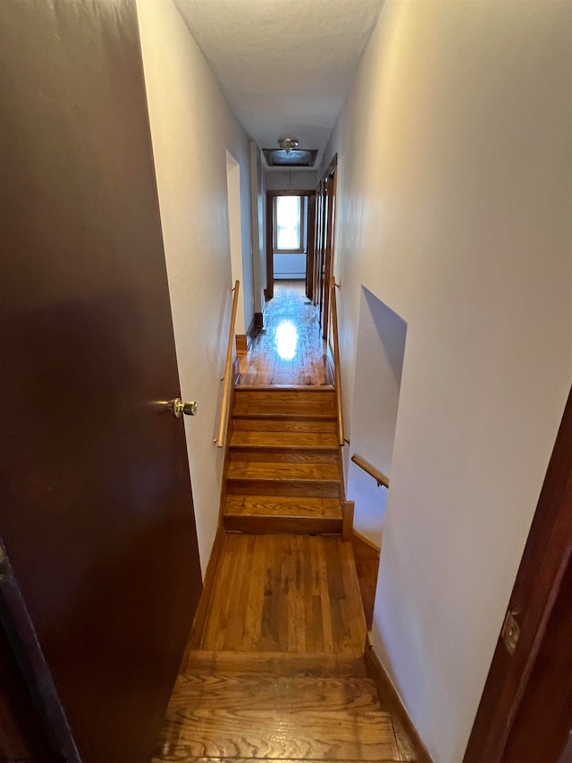 staircase featuring wood-type flooring