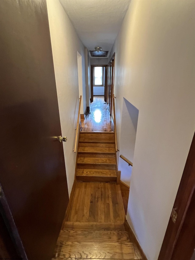 interior space featuring wood finished floors