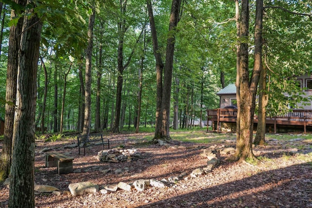 view of yard featuring a deck