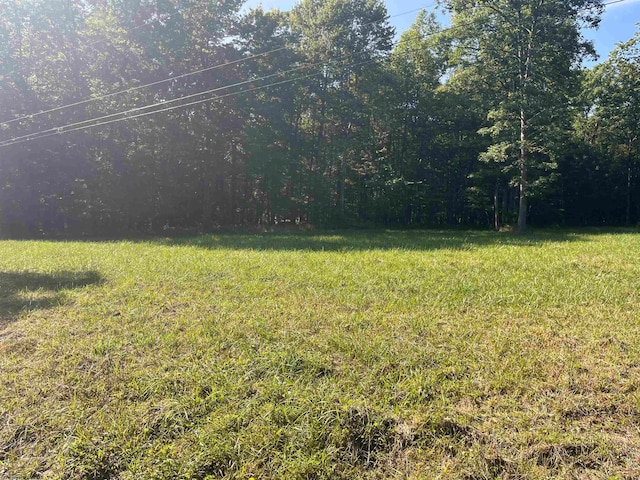 Listing photo 2 for TBD Salem Five Fork Rd, Bruceton Mills WV 26525