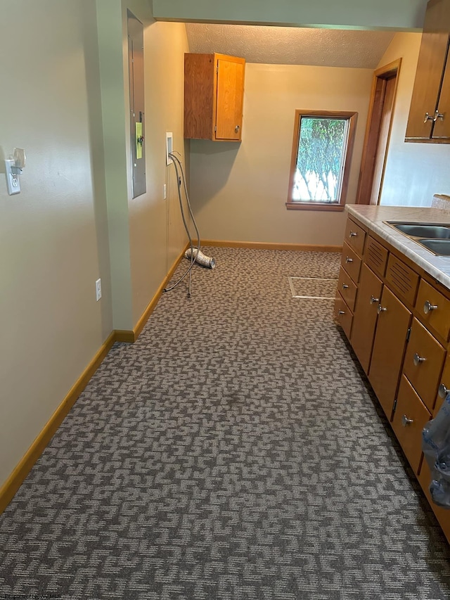 kitchen featuring dark colored carpet, brown cabinets, and a sink