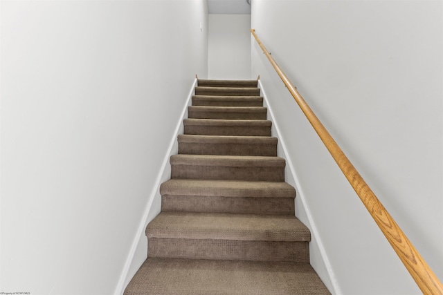 staircase with carpet flooring