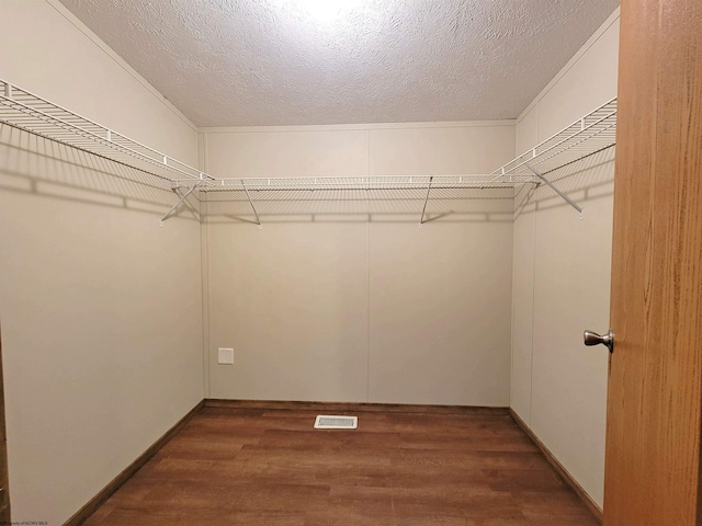 walk in closet with wood-type flooring