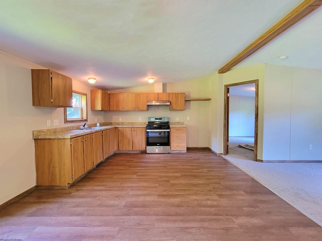 kitchen with sink, lofted ceiling, stainless steel range, and light colored carpet