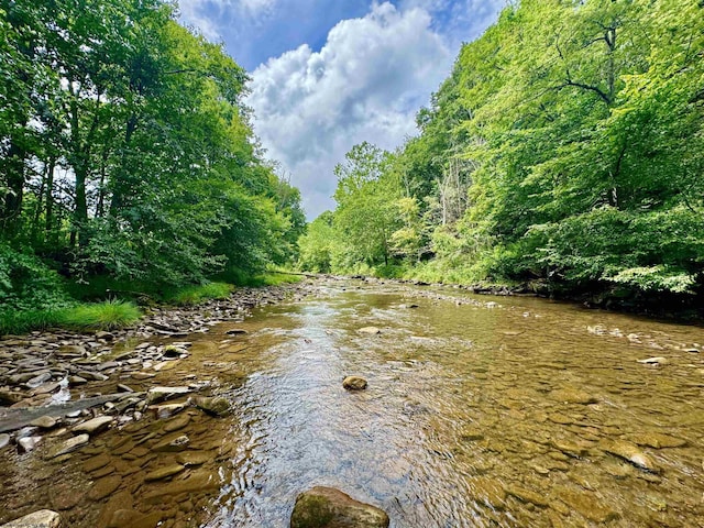 TBD Route 29 Road, Harman, WV 26270