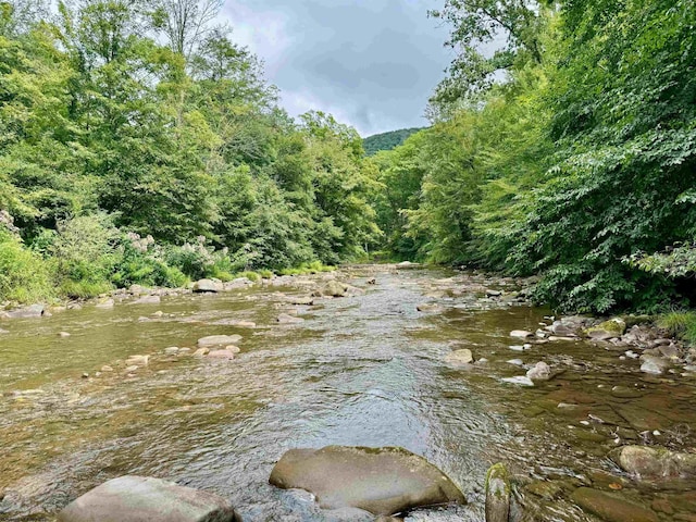 TBD Route 29 Road, Harman, WV 26270