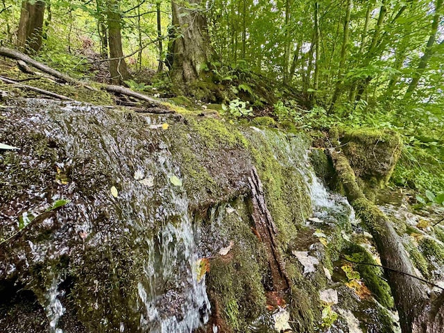 TBD Route 29 Road, Harman, WV 26270