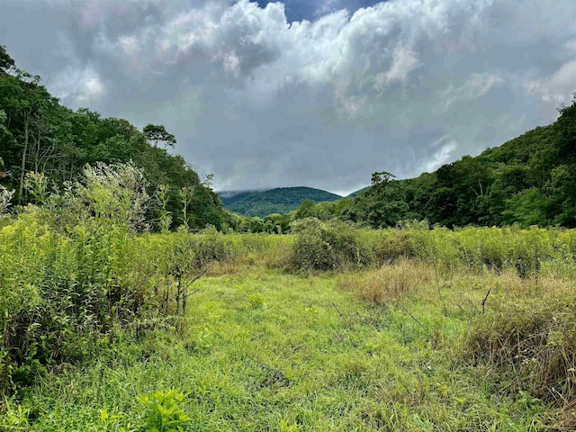 TBD Route 29 Road, Harman, WV 26270