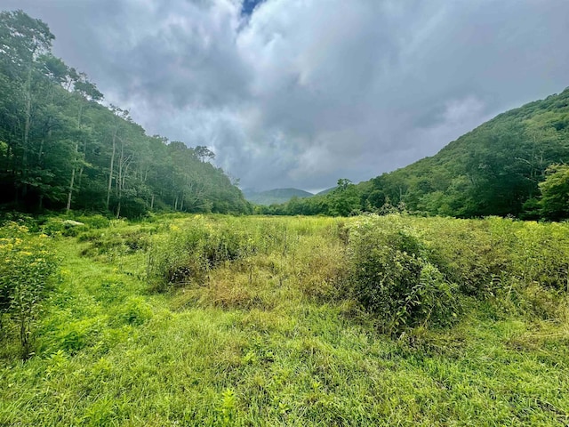 TBD Route 29 Road, Harman, WV 26270