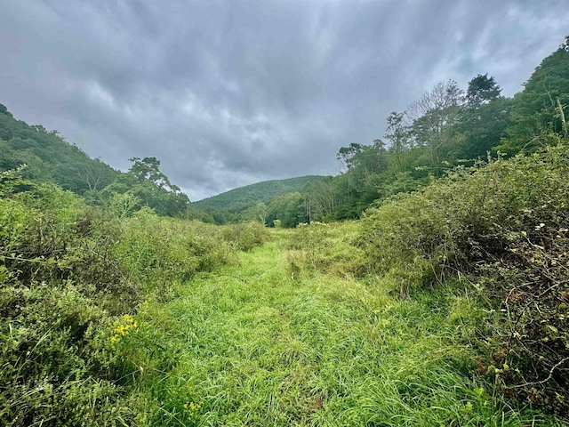 TBD Route 29 Road, Harman, WV 26270