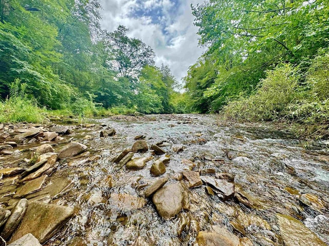 TBD Route 29 Road, Harman, WV 26270