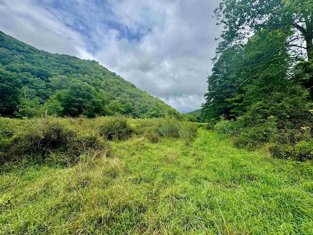 TBD Route 29 Road, Harman, WV 26270