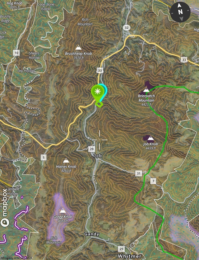 TBD Route 29 Road, Harman, WV 26270