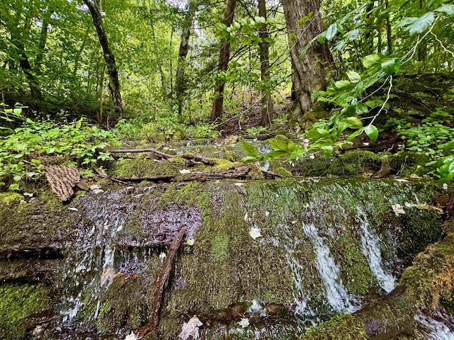 TBD Route 29 Road, Harman, WV 26270