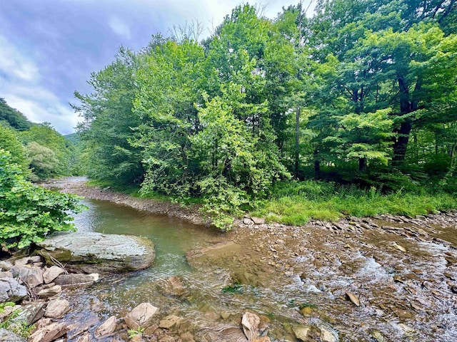 TBD Route 29 Road, Harman, WV 26270