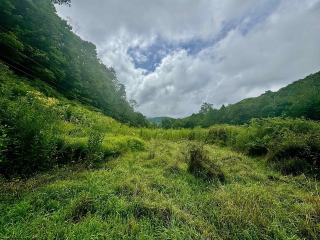 TBD Route 29 Road, Harman, WV 26270
