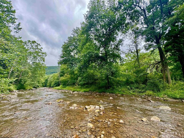 TBD Route 29 Road, Harman, WV 26270