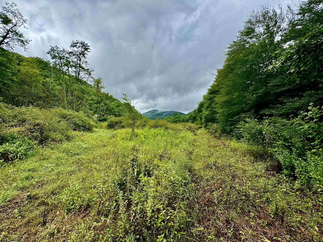 TBD Route 29 Road, Harman, WV 26270