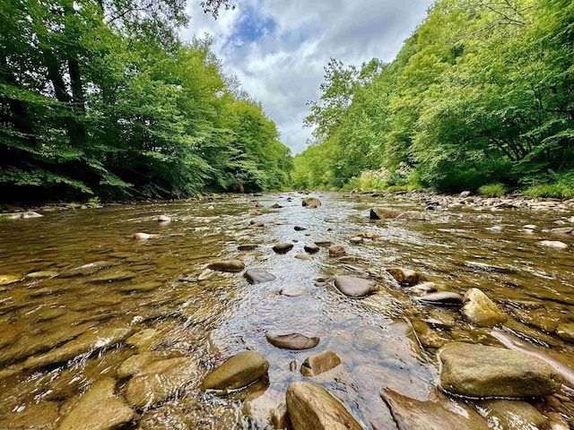 TBD Route 29 Road, Harman, WV 26270