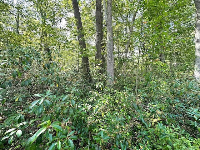 LOT70 Pine Dr, Terra Alta, WV 26764