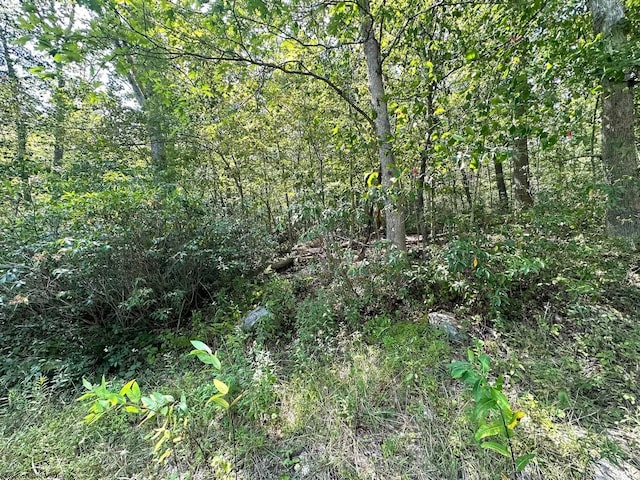 LOT70 Pine Dr, Terra Alta, WV 26764
